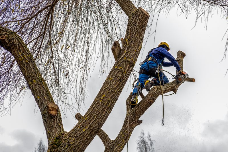 Chute Maintenance